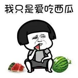 最近娱乐圈有什么瓜吃吗,揭秘近期热点事件与明星动态